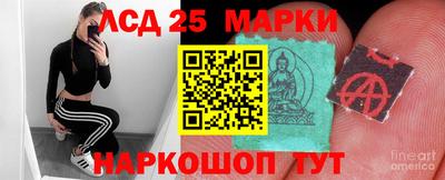 индика Бердск