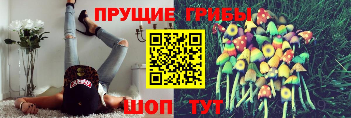 Архангельск  Псилоцибиновые грибы Psilocybe  Вход с VPN 